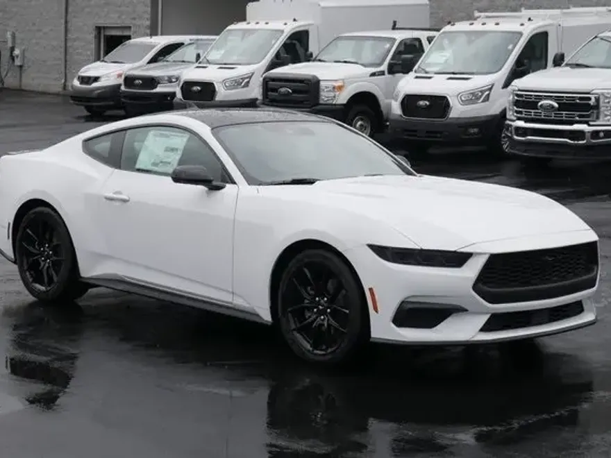2025 Ford Mustang EcoBoost Premium photo 1