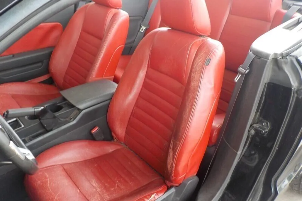 2008 Ford Mustang GT Premium photo 1