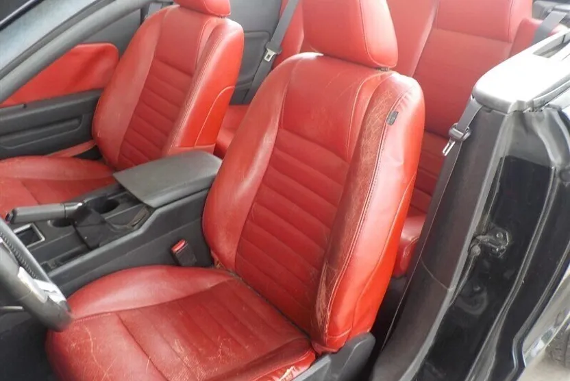 2008 Ford Mustang GT Premium photo 1