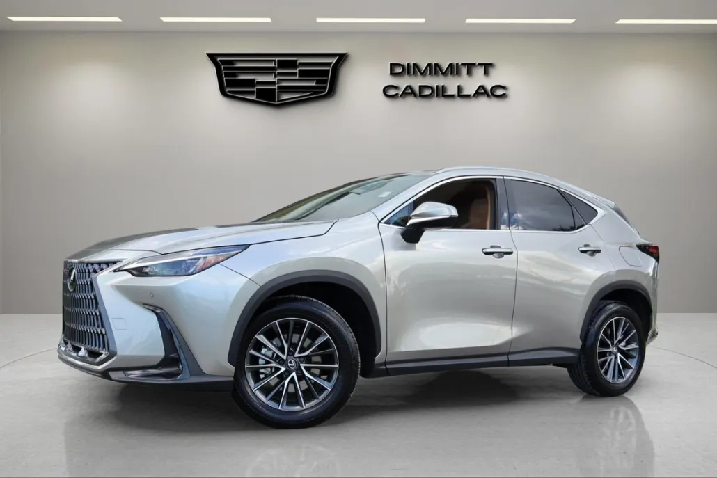 2025 Lexus NX 250 Premium photo 1