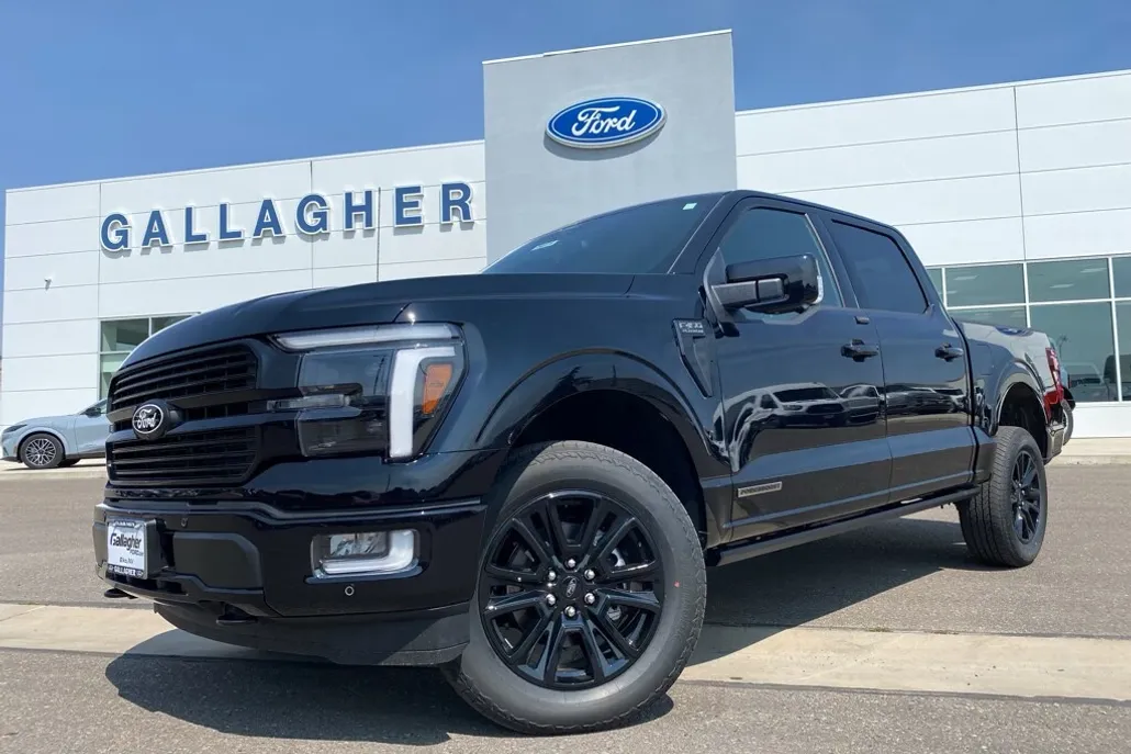 2025 Ford F-150 Platinum photo 1