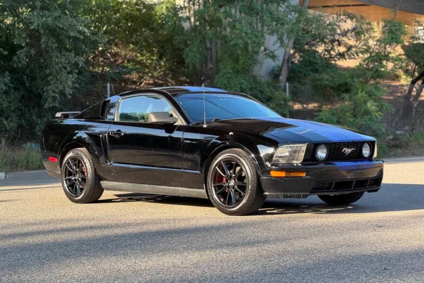 2009 Ford Mustang V6 Deluxe photo 1