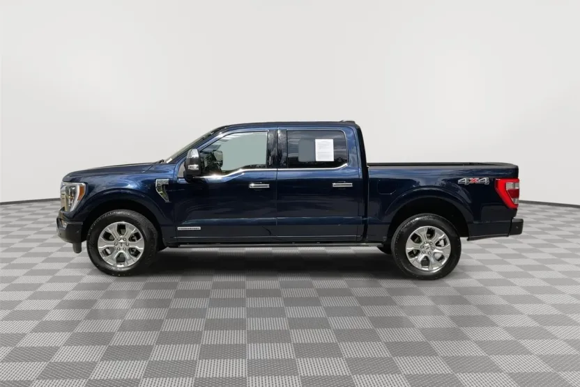 2022 Ford F-150 Platinum photo 1