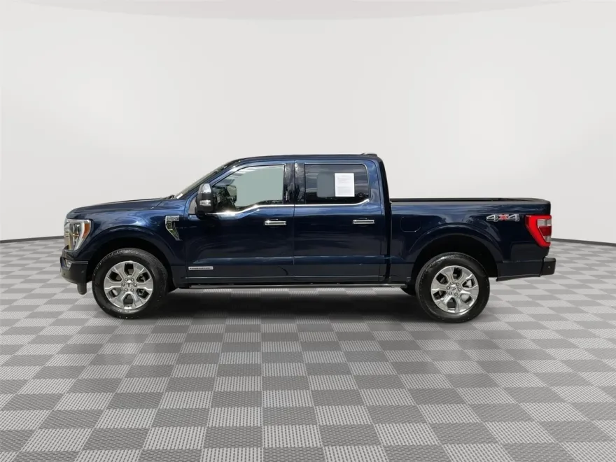 2022 Ford F-150 Platinum photo 1