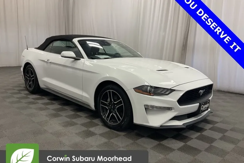 2023 Ford Mustang EcoBoost Premium photo 1