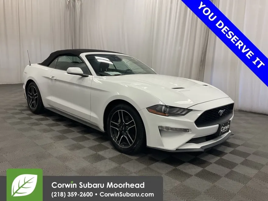 2023 Ford Mustang EcoBoost Premium photo 1