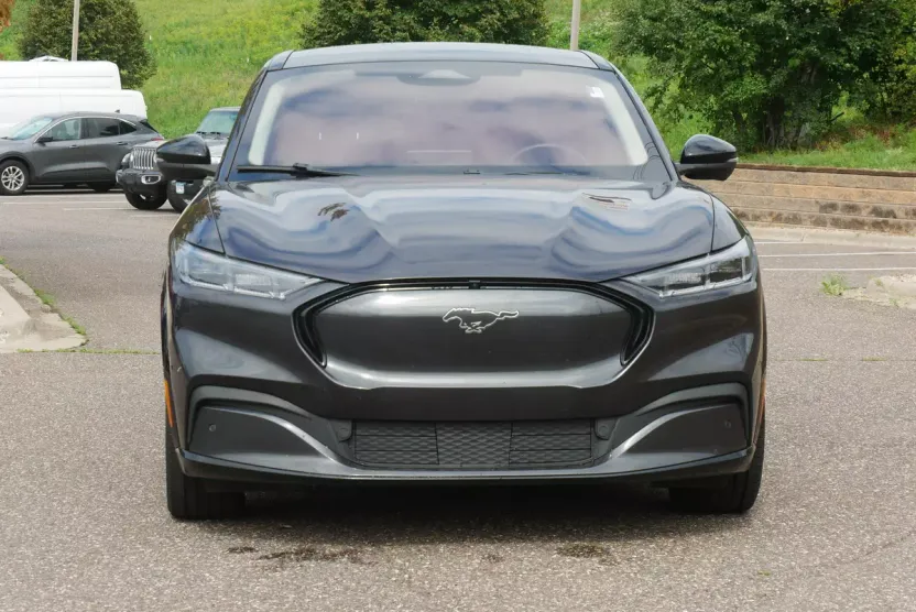 2021 Ford Mustang Mach-E Premium photo 1