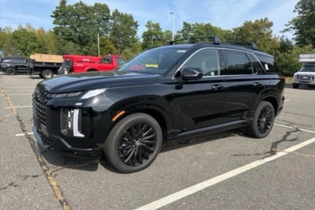 2025 Hyundai Palisade Calligraphy photo 1