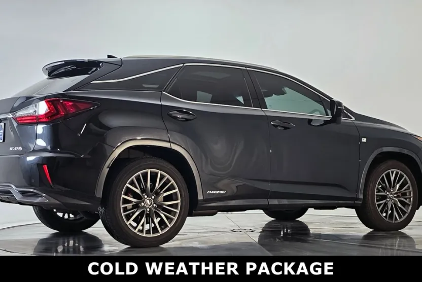 2016 Lexus RX 450h photo 1
