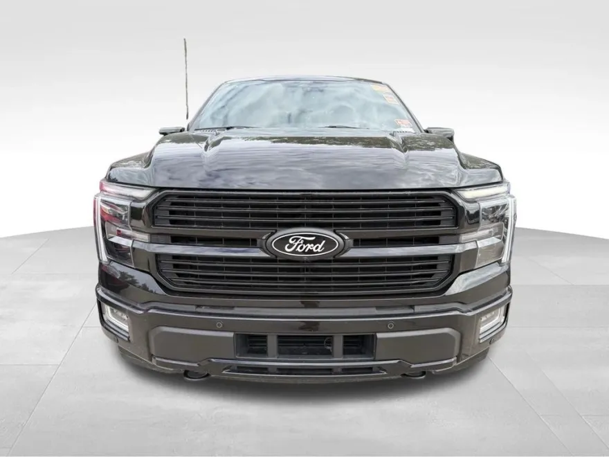 2024 Ford F-150 Platinum photo 1