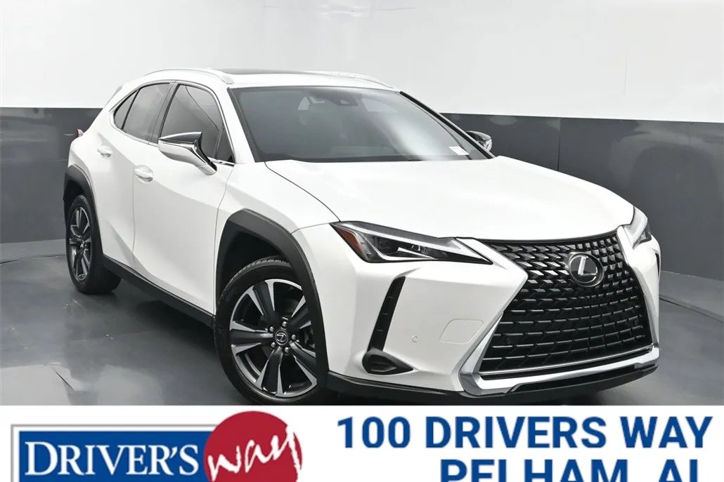 2020 Lexus UX 200 photo 1