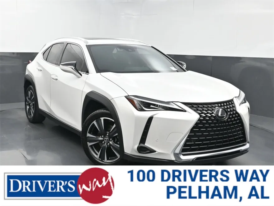 2020 Lexus UX 200 photo 1