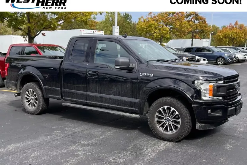 2019 Ford F-150 XLT photo 1