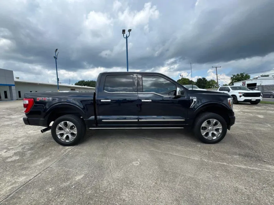 2021 Ford F-150 Platinum photo 1