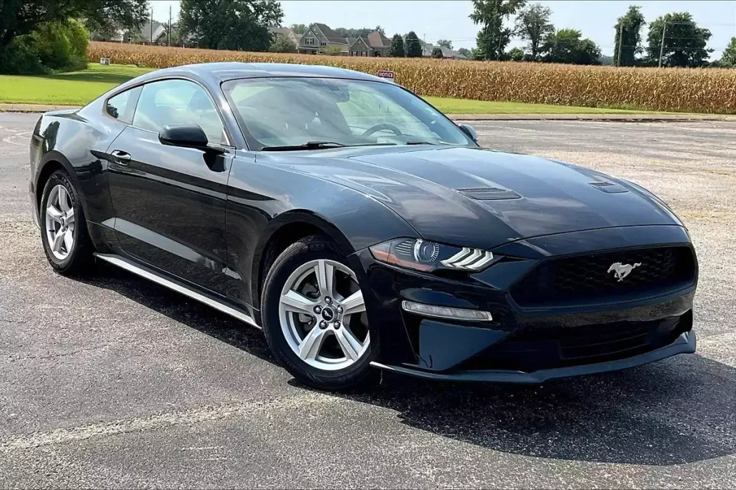 2019 Ford Mustang EcoBoost photo 1