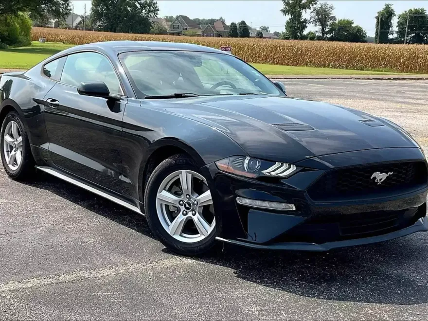 2019 Ford Mustang EcoBoost photo 1