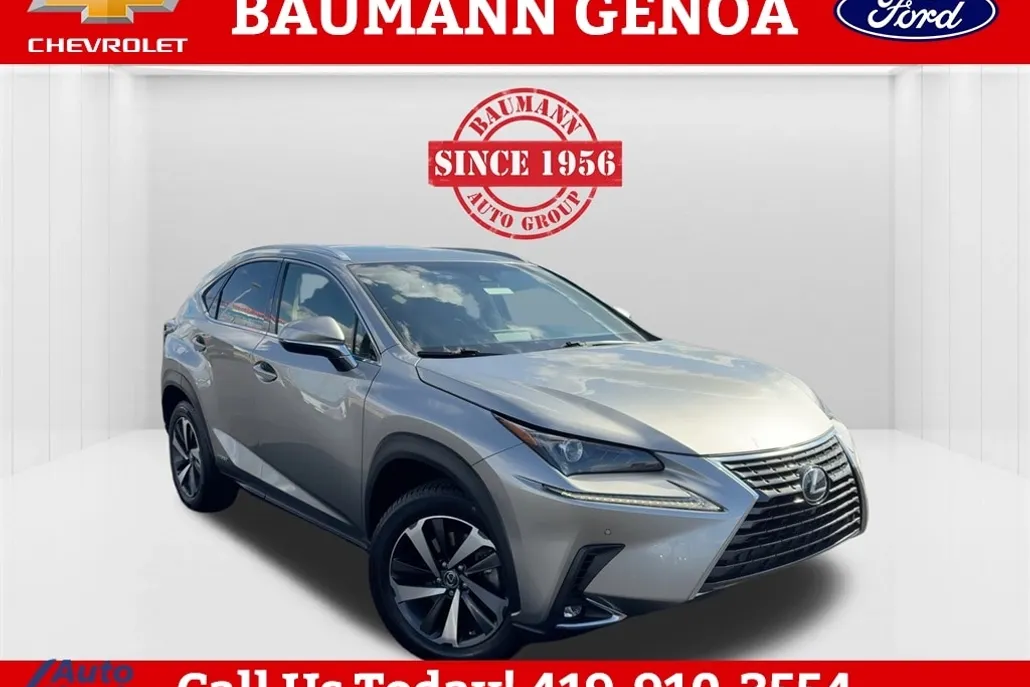 2018 Lexus NX 300h Luxury photo 1