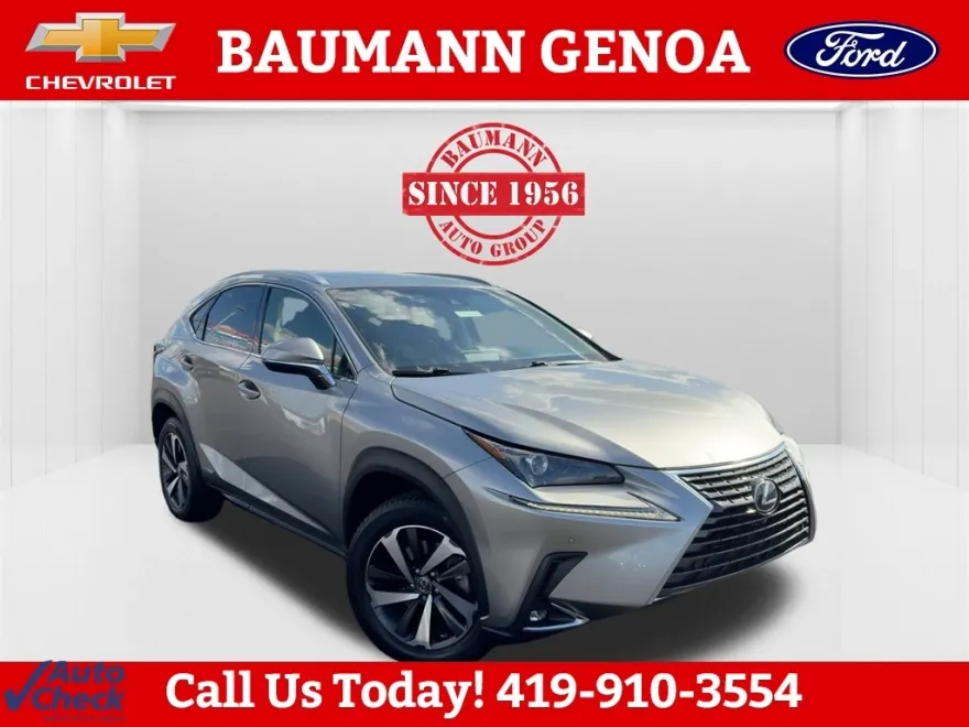 2018 Lexus NX 300h Luxury photo 1