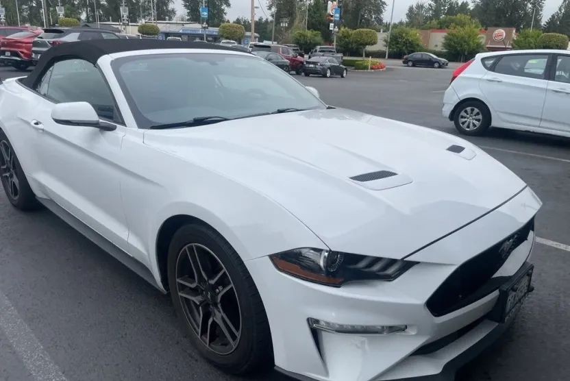 2019 Ford Mustang EcoBoost Premium photo 1