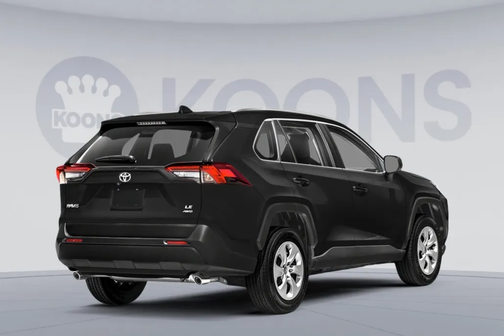 2019 Toyota RAV4 LE photo 1