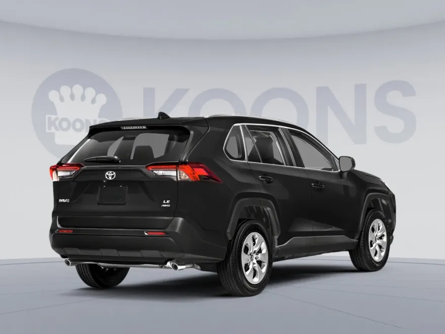 2019 Toyota RAV4 LE photo 1