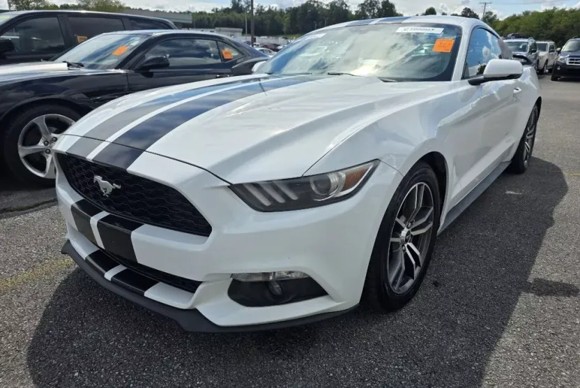 2017 Ford Mustang EcoBoost photo 1