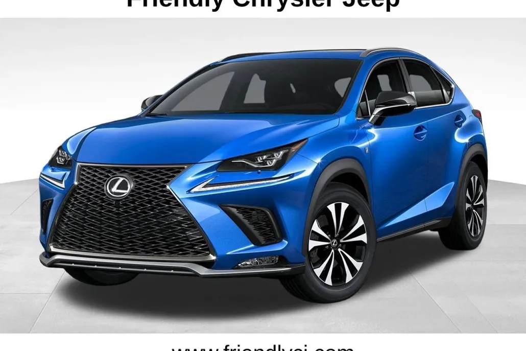 2019 Lexus NX 300 Luxury photo 1