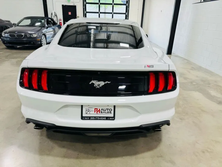 2018 Ford Mustang EcoBoost photo 1