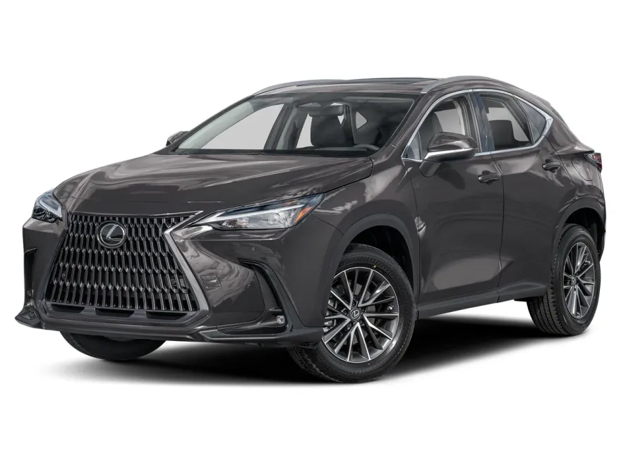 2025 Lexus NX Premium photo 1