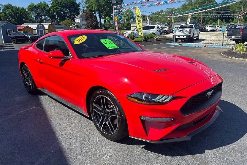 2023 Ford Mustang EcoBoost Premium photo 1