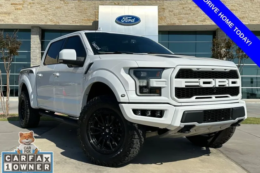 2019 Ford F-150 Raptor photo 1