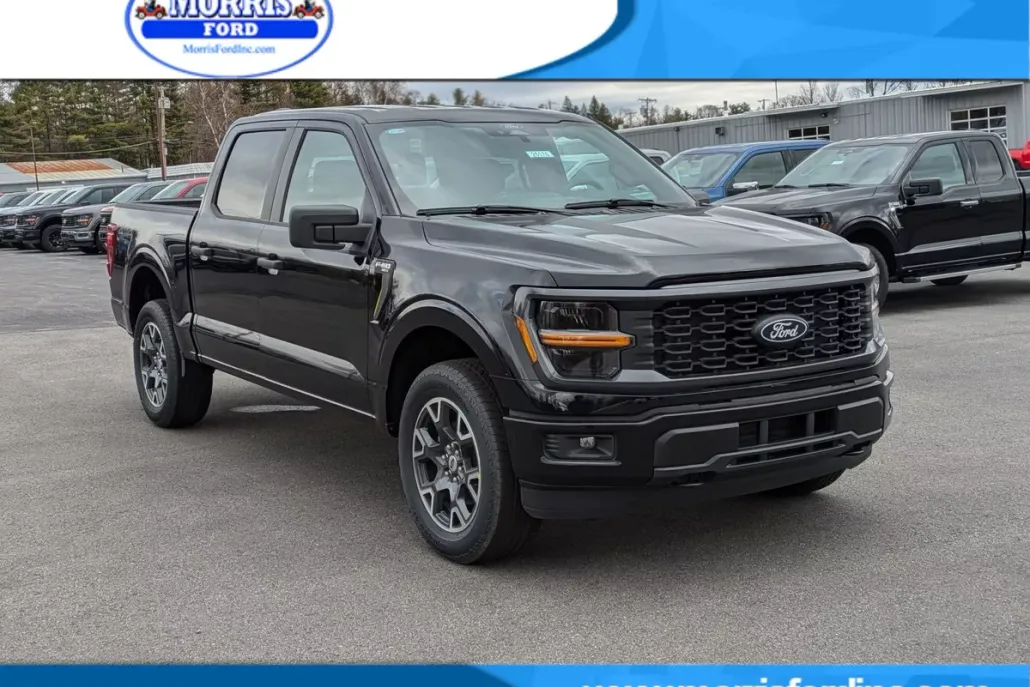 2025 Ford F-150 STX photo 1