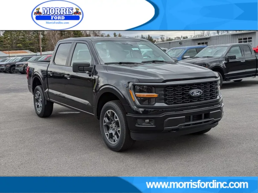 2025 Ford F-150 STX photo 1