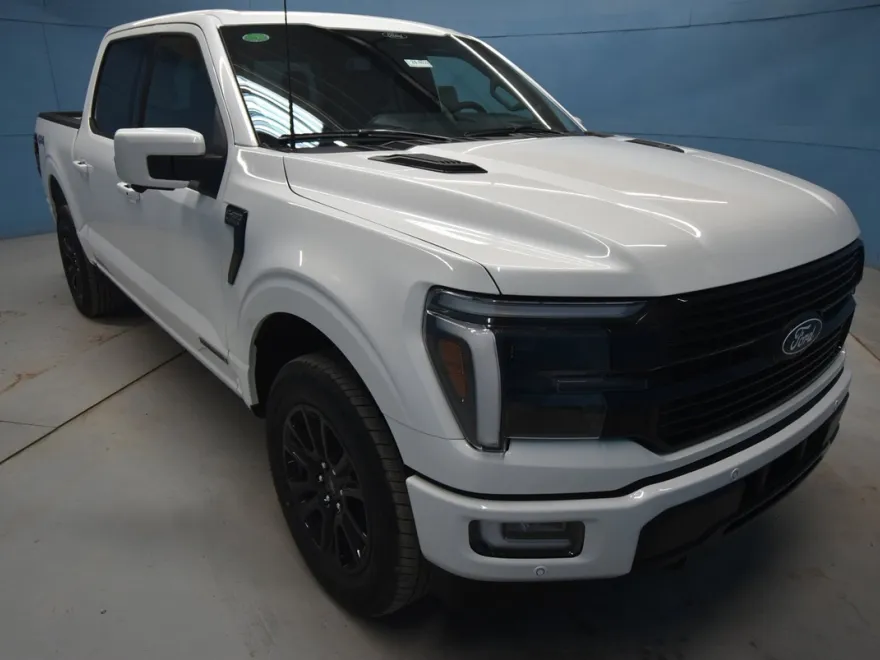 2025 Ford F-150 Platinum photo 1