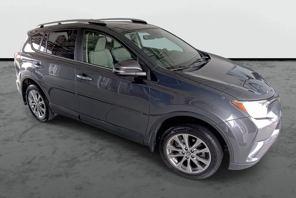 2018 Toyota RAV4 Limited photo 1