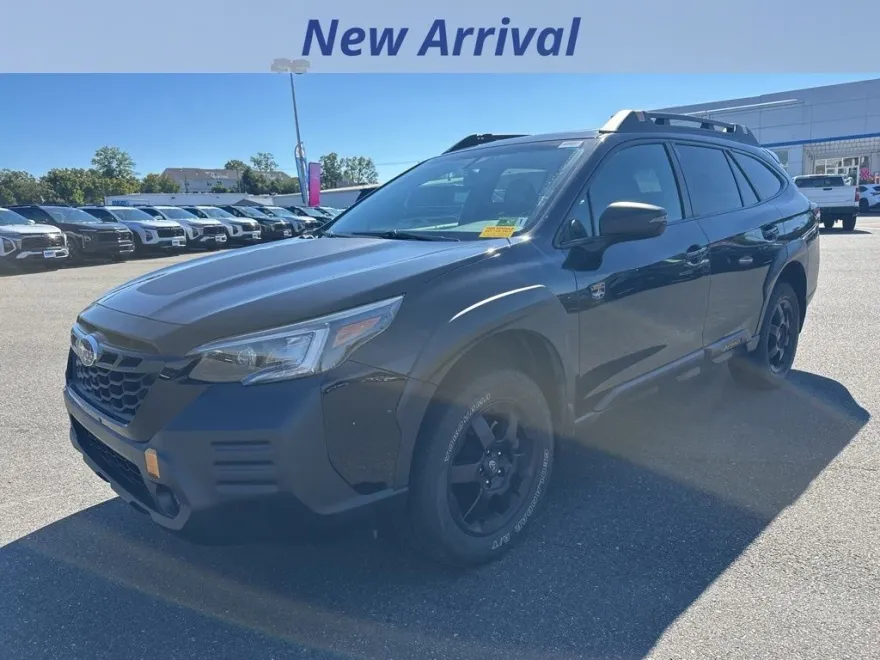 2022 Subaru Outback Wilderness photo 1