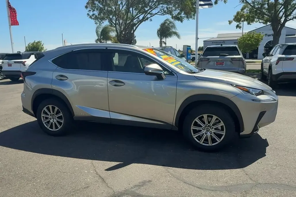 2020 Lexus NX 300h photo 1