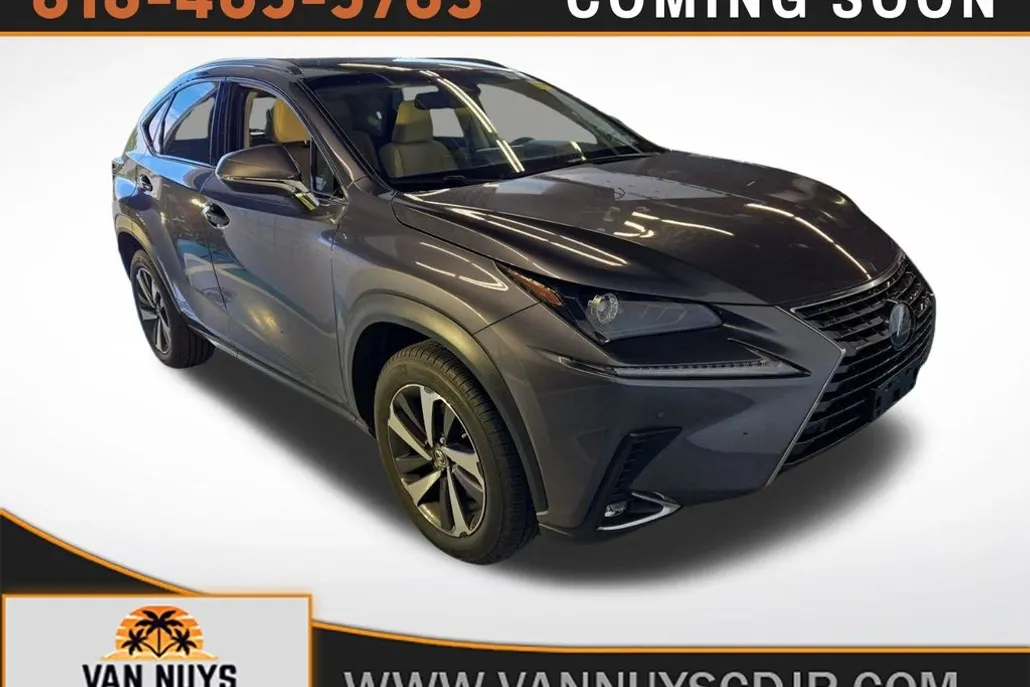 2019 Lexus NX 300 Luxury photo 1