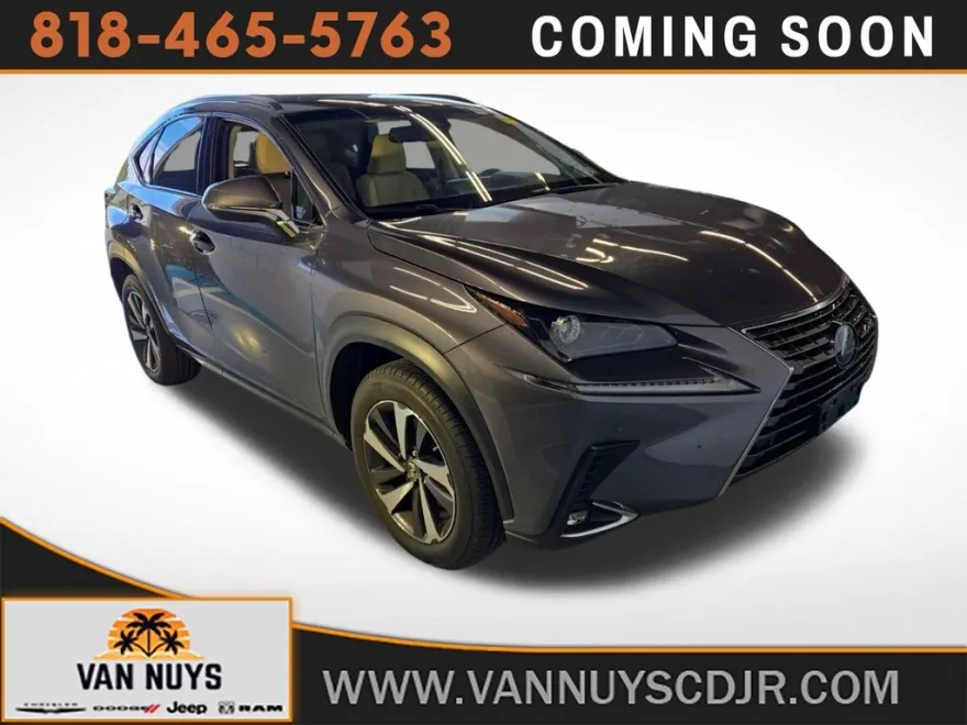 2019 Lexus NX 300 Luxury photo 1