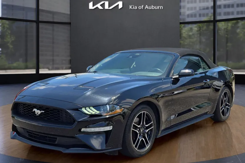 2023 Ford Mustang EcoBoost Premium photo 1