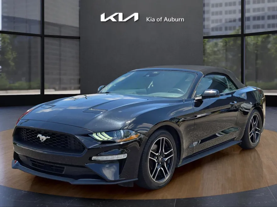 2023 Ford Mustang EcoBoost Premium photo 1