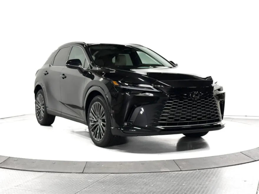 2025 Lexus RX 350 Luxury AWD photo 1
