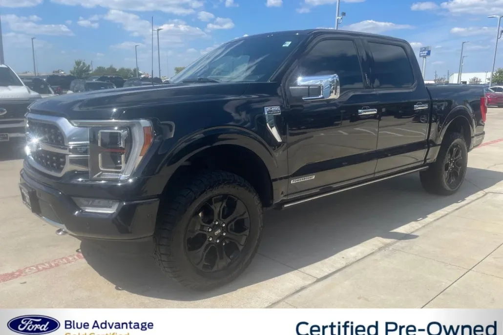 2021 Ford F-150 Platinum photo 1