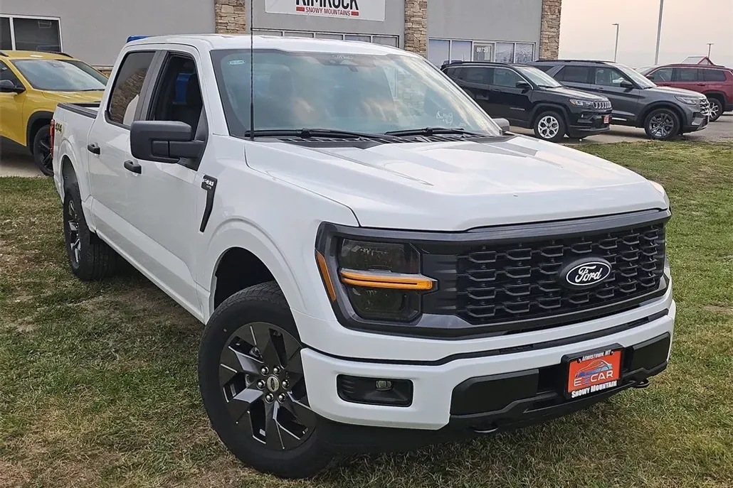 2025 Ford F-150 STX photo 1