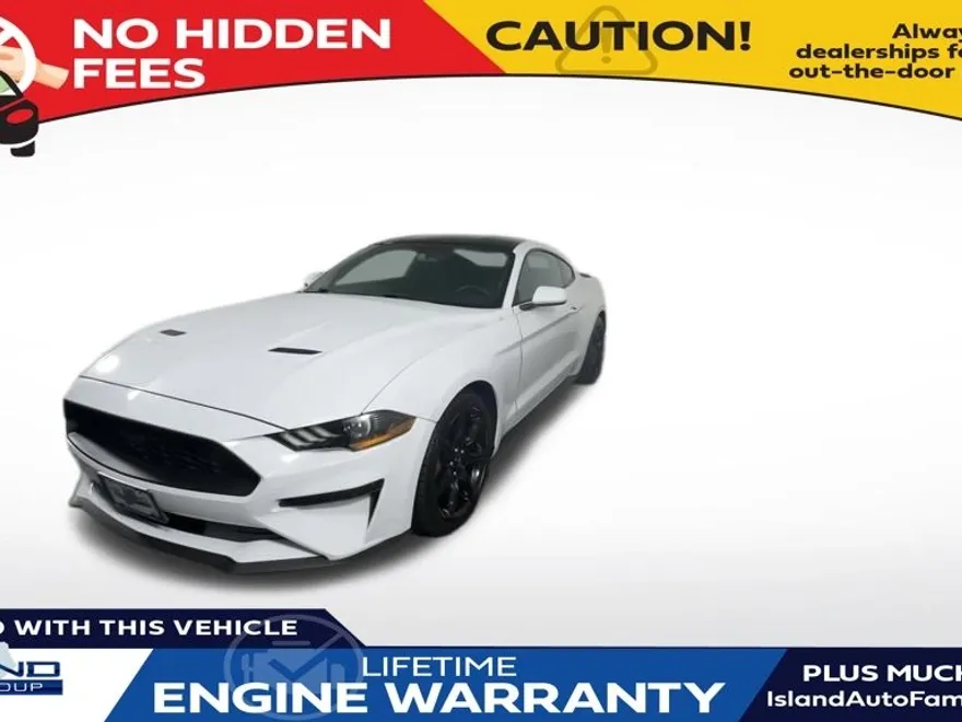 2019 Ford Mustang EcoBoost photo 1