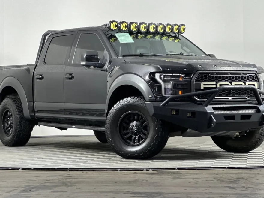2019 Ford F-150 Raptor photo 1
