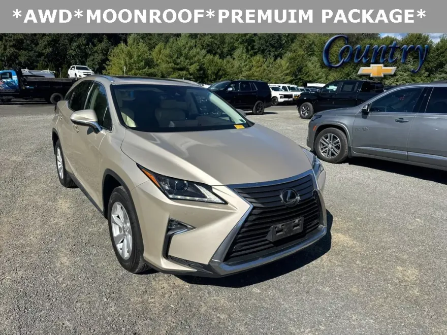 2017 Lexus RX 350 photo 1