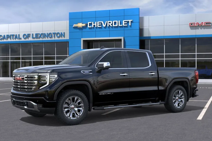 2025 Gmc Sierra 1500 Denali photo 1