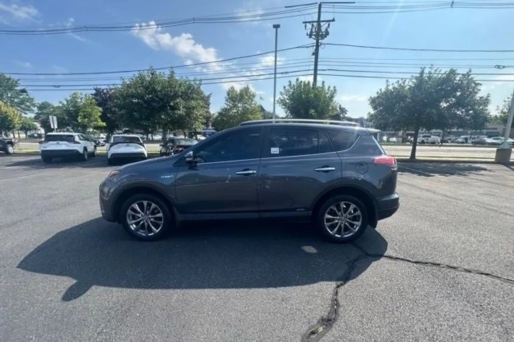 2019 Toyota RAV4 LE photo 1