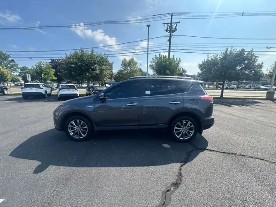 2019 Toyota RAV4 LE photo 1